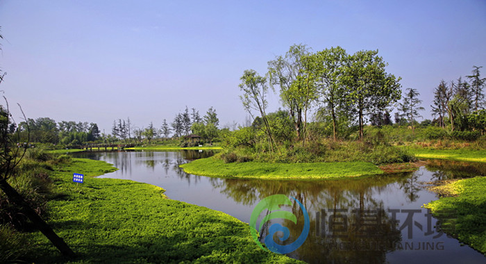 洛陽(yáng)人工濕地凈化系統(tǒng)